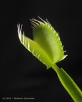 20120321191732-2aeb78db