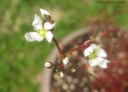 20130601marston02